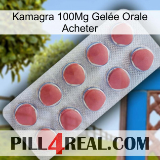 Kamagra 100Mg Gelée Orale Acheter 18